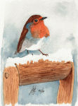 Robin on a spade A watercolour painting of a Robin sitting on a snow-covered spade handle